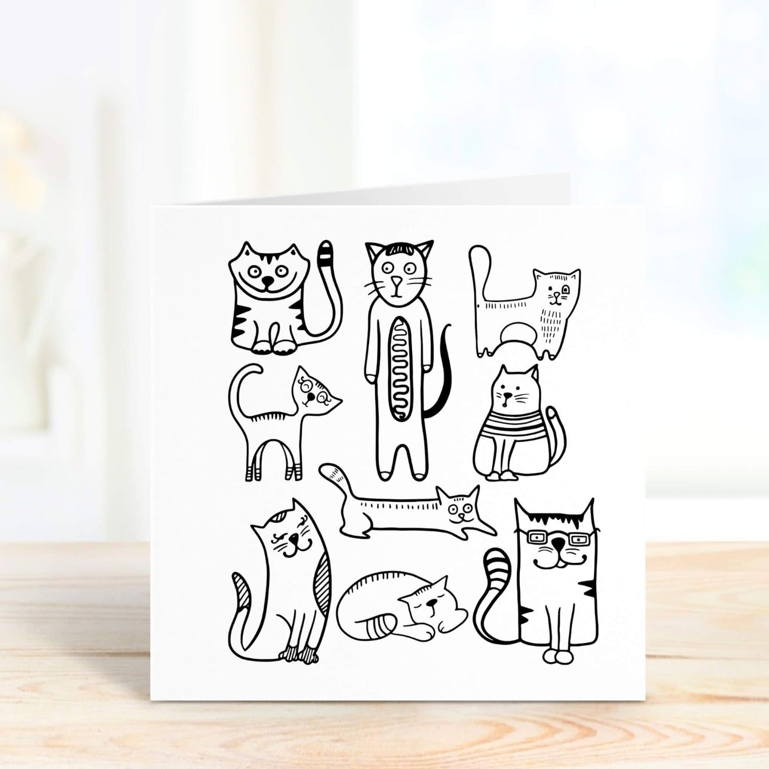 black and white cats personalised card