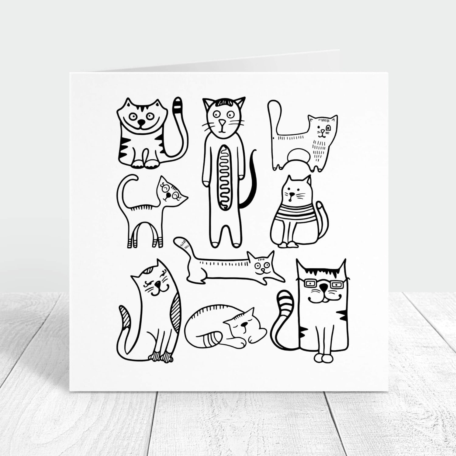 funny crazy cats personalised card